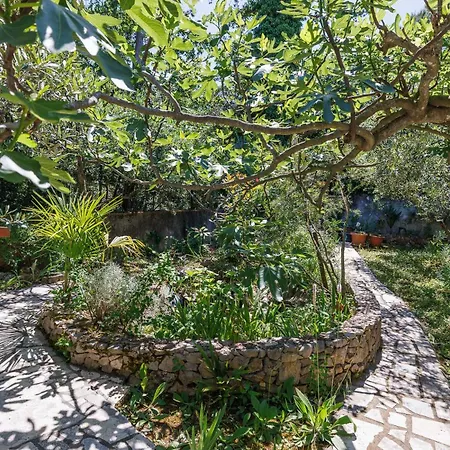 Karla With Beautiful Sea View * Šilo